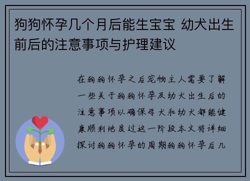 狗狗怀孕几个月后能生宝宝 幼犬出生前后的注意事项与护理建议
